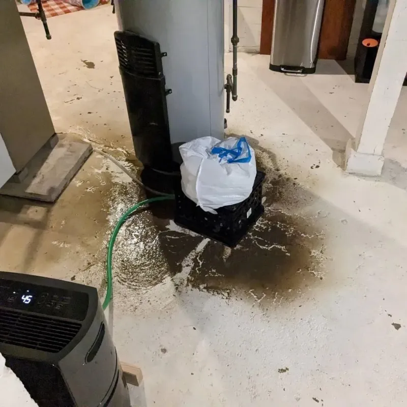 Sewage Backup Cleanup Service in Lookout Mountain, TN